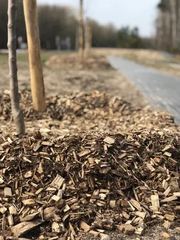 rachat de bois forestier La Flèche-1