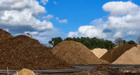 rachat de bois forestier La Flèche-5
