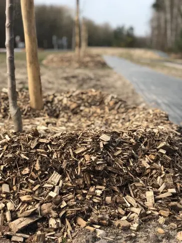 rachat de bois forestier Maine-et-Loire-1