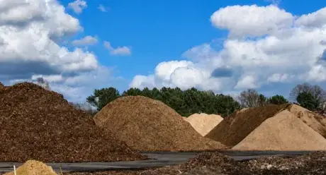 rachat de bois forestier à Maine-et-Loire - image 4
