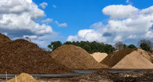 rachat de bois forestier à Sarthe - image 2